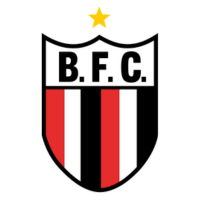 Botafogo Football Club (Ribeirão Preto)