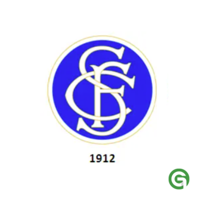 Santos Badge(brg365)