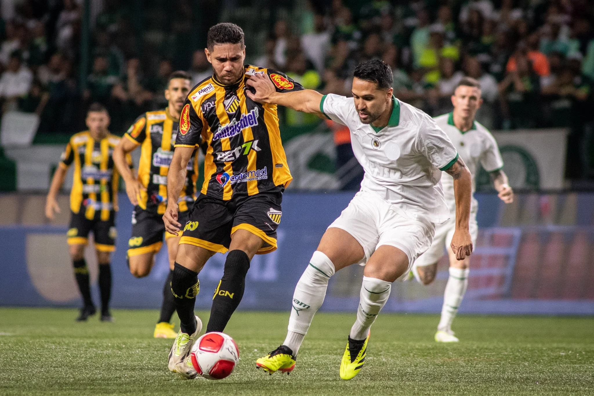 Fotos de Palmeiras x Novorizontino na Semifinal do Campeonato Paulista