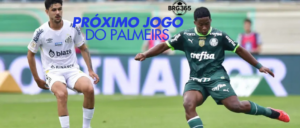 Palmeiras foi derrotado pelo Santos no Brasileirão(BRG365)