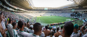 Ingresso para jogo do palmeiras: Onde Comprar?